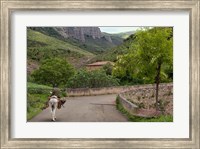 Old man rides a donkey loaded with wood, Anguiano, La Rioja, Spain Fine Art Print