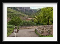 Old man rides a donkey loaded with wood, Anguiano, La Rioja, Spain Fine Art Print