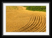 Tilled Ground Ready for Planting, Brinas, La Rioja, Spain Fine Art Print