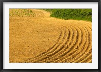 Tilled Ground Ready for Planting, Brinas, La Rioja, Spain Fine Art Print