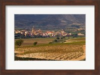 Village of Brinas surrounded by Vineyards, La Rioja Region, Spain Fine Art Print