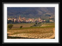 Village of Brinas surrounded by Vineyards, La Rioja Region, Spain Fine Art Print