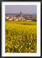 Yellow mustard flowers, Elvillar Village, La Rioja, Spain Fine Art Print