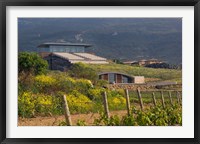 Bodegas Baigorri in Rioja Alavesa, Spain Fine Art Print