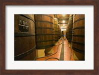 Large Oak tanks holding wine, Bodega Muga Winery, Haro village, La Rioja, Spain Fine Art Print