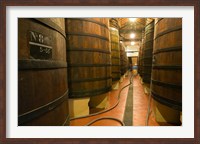 Large Oak tanks holding wine, Bodega Muga Winery, Haro village, La Rioja, Spain Fine Art Print