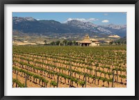 Small church next to the Wine Culture Museum, Briones village, La Rioja, Spain Fine Art Print