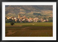 Village of Brinas surrounded by Vineyards, La Rioja Region, Spain Fine Art Print