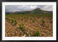Vineyard in stony soil with San Vicente de la Sonsierra Village, La Rioja, Spain Fine Art Print