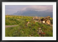 Wildflowers surround the Sacred Burial Site, Elvillar Village, La Rioja, Spain Fine Art Print