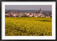 Yellow mustard flowers, Elvillar Village, La Rioja, Spain Fine Art Print