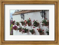 Geraniums along White Wall of Palacio de Mondragon, Ronda, Spain Fine Art Print