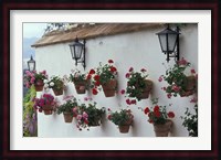 Geraniums along White Wall of Palacio de Mondragon, Ronda, Spain Fine Art Print