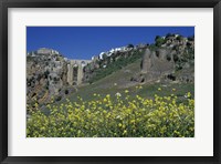 Wildflowers in El Tajo Gorge and Punte Nuevo, Ronda, Spain Fine Art Print