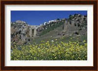 Wildflowers in El Tajo Gorge and Punte Nuevo, Ronda, Spain Fine Art Print