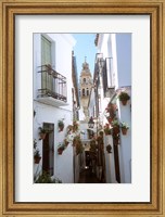 Calleja de las Flores (Flower Alley), Spain Fine Art Print