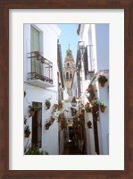 Calleja de las Flores (Flower Alley), Spain Fine Art Print