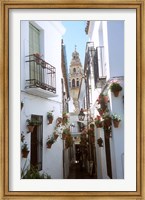 Calleja de las Flores (Flower Alley), Spain Fine Art Print