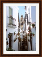 Calleja de las Flores (Flower Alley), Spain Fine Art Print