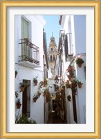 Calleja de las Flores (Flower Alley), Spain Fine Art Print