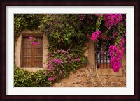 Flower-covered Buildings, Old Town, Ciudad Monumental, Caceres, Spain Fine Art Print
