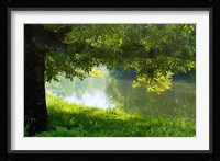 Ason river Ramales de la Victoria Cantabria Spain Fine Art Print