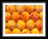 Produce at La Boqueria Market, Barcelona, Spain Fine Art Print