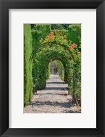 Archway of trees in the gardens of the Alhambra, Granada, Spain Fine Art Print