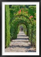 Archway of trees in the gardens of the Alhambra, Granada, Spain Fine Art Print