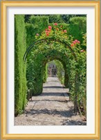 Archway of trees in the gardens of the Alhambra, Granada, Spain Fine Art Print