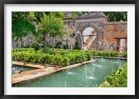 The Generalife gardens, Alhambra grounds, Granada, Spain Fine Art Print