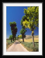 Pilgrimage Road, El Camino de Santiago de Compostela, Castile, Spain Fine Art Print