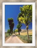 Pilgrimage Road, El Camino de Santiago de Compostela, Castile, Spain Fine Art Print