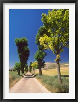 Pilgrimage Road, El Camino de Santiago de Compostela, Castile, Spain Fine Art Print