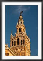 Cathedral And Giralda Tower, Seville, Spain Fine Art Print