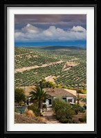 Olive Groves, Ubeda, Spain Fine Art Print