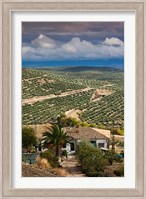 Olive Groves, Ubeda, Spain Fine Art Print