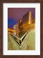 Guggenheim Museum lit at night, Bilbao, Spain Fine Art Print