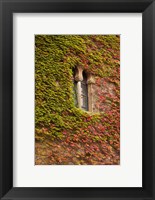 Ivy-Covered Wall, Ciudad Monumental, Caceres, Spain Fine Art Print