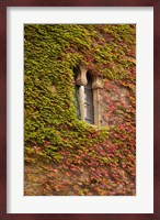 Ivy-Covered Wall, Ciudad Monumental, Caceres, Spain Fine Art Print