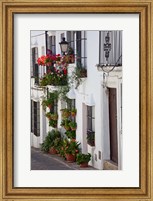 Spain, Andalucia Region, Cadiz, Grazalema Potted plants by a home Fine Art Print
