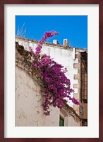 Spain, Andalusia, Banos de la Encina Bougainvillea Growing on a Roof Fine Art Print