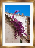 Spain, Andalusia, Banos de la Encina Bougainvillea Growing on a Roof Fine Art Print
