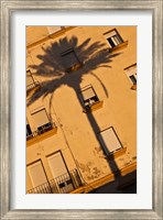 Spain, Cadiz, Campo del Sur, Palm Shadow Fine Art Print