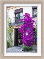 Spain, Granada The entrance of Hotel America Fine Art Print