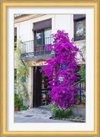 Spain, Granada The entrance of Hotel America Fine Art Print