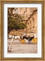 Spain, Seville, Horse carriage, Plaza del Triunfo Fine Art Print