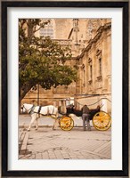 Spain, Seville, Horse carriage, Plaza del Triunfo Fine Art Print