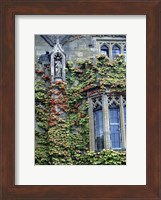 Halls of Ivy, Oxford University, England Fine Art Print