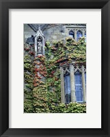 Halls of Ivy, Oxford University, England Fine Art Print